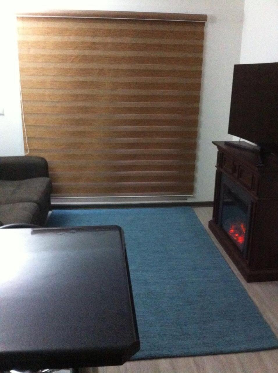 Andino Departamento Pucón