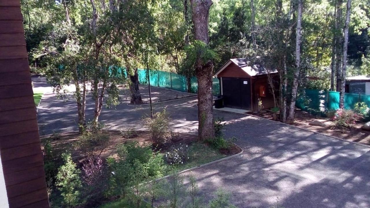Andino Departamento