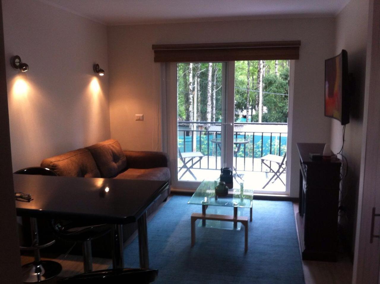 Apartamento Andino Departamento Pucón